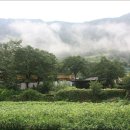 봉정마을 이미지