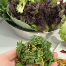 쌈마트 | 라움팜 모듬 쌈채소 후기｜수경재배 쌈채소 오래가는 쌈야채 추천