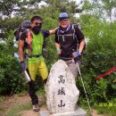 직지초교 이미지