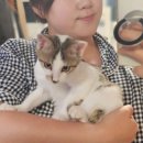 정희헤어 이미지