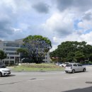 다복솔디자인 이미지