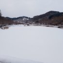 수원지민박