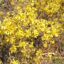 강변도로 이미지