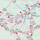 한솔청과 Daum카페