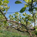 서포농장 이미지