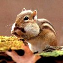 지금여기에 이미지