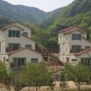 비학산 한국일보
