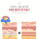 앙상블여성의원 이미지