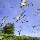 햇살좋은아침 이미지