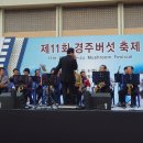 경주버섯 이미지