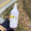 용대로L | 기억을 위한 기록용 일상(2/19~25, 광주 홀리데이인호텔 행사, 프랭크버거, 상무지구 롤링핀, 봉선동...