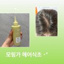 오르제이 헤어 | 홈 두피케어 오르제나 모링가 헤어식초 사용법 및 후기
