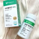 웰리벨라이프