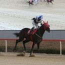 (주)디알엠 이미지