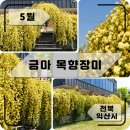 목향 - 성북구 돌곶이로 42 | 목향