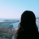 노벰버리조트 | 감포:) 탁트인 바다가 보이는 펜션 / 경주펜션 /경주단체펜션 /바다뷰펜션 :: 노벰버리조트 리얼후기!