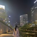 롯데시티호텔명동 이미지