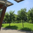 오금상촌공원 화장실 이미지