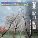 페스타임 | 청주 봄축제 청주 딸기 팝업 페스타 후기