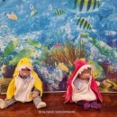 (주)씨에스플러스 수원영통점 | 영통 홈플러스 문화센터 : 반짝반짝 똘망이 (5개월 아기랑)