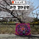 과천 경마공원 벚꽃축제 렛츠런파크 주차