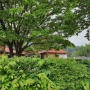(주)다인돌봄 이미지