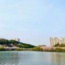 애견운동공원(3~10월) | [울산 남구] 울산 애견 운동공원 - 전 견종 가능