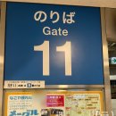 용산-453 | 일본 나고야 4박 5일 자유 여행 후기 #1 | 츄부 공항 - 메이테츠 나고야 역 - 다이와 로이넷 다이코...