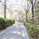 명인공인중개사사무소 이미지