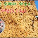 오페라 하우스2 카스탈리엔(5.13a) 완등기 이미지