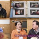 금송아지 이미지