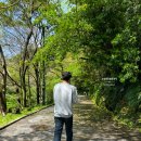 천지동-3 | 제주도 서귀포 가볼 만한 곳 3박 4일 제주 여행 코스 추천 천지연폭포 주차 관람 시간 후기
