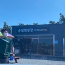 캠핑#2 어은돌송림 캠핑장 B29 후기