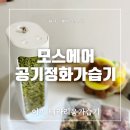 이끼 | 공기정화가습기로 플랜테리어 추천 ‘모스에어 이끼테라리움가습기‘ 후기