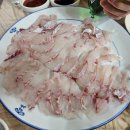 부산 광안리 민락회센터, 고급 어종 능성어+서비스 5개 받은 회 맛집 추천 (feat. 상차림비 후기)