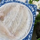 들물(본가)횟집 이미지