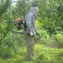 크로바농장 이미지