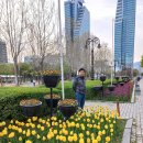 평촌공원 이미지