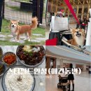 스타파크 | 안성 스타필드 애견동반 후기 유모차대여, 식당, 펫파크