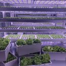 이수농장 이미지