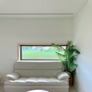 스테이다시올게 이미지