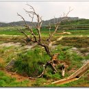 섬진강자전거길1 이미지