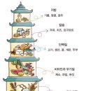 헬로우프레쉬 | 헬로우프레쉬 후기