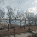 조가네갑오징어(왕송호수점) 이미지