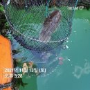 수진좌대2 이미지