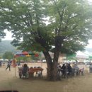 비상초등학교 이미지