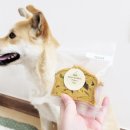 댕구상점 이미지