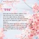 영태4리 이미지