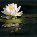 수한의원 이미지