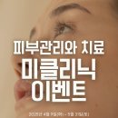 진체형클리닉(피부미용)